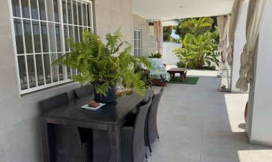 Reventa - Finca -
Torrellano