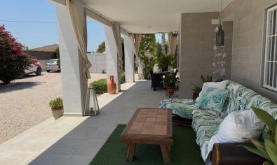 Reventa - Finca -
Torrellano