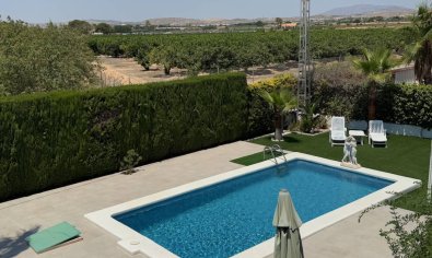 Reventa - Finca -
Torrellano