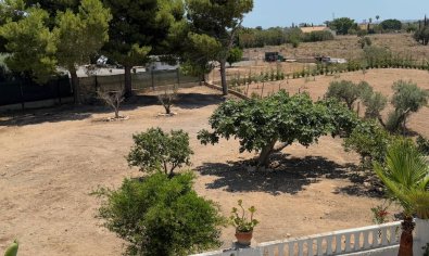 Reventa - Finca -
Torrellano