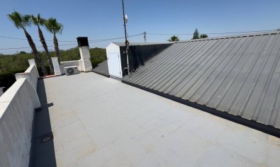 Reventa - Finca -
Torrellano