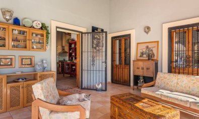 Reventa - Finca -
Catral