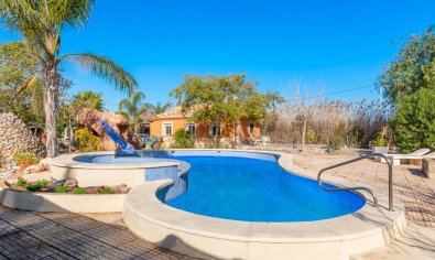 Reventa - Finca -
Catral