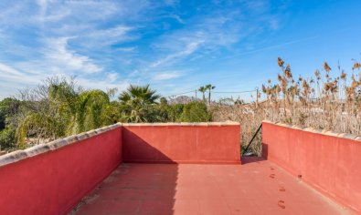 Reventa - Finca -
Catral