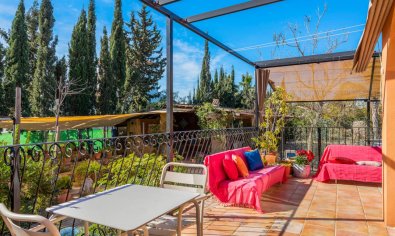 Reventa - Finca -
Catral