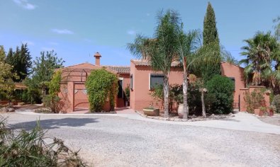 Reventa - Finca -
Catral