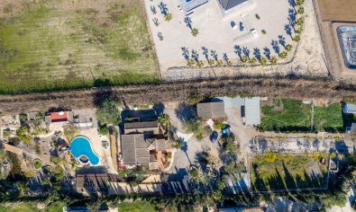 Reventa - Finca -
Catral