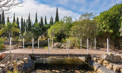 Reventa - Finca -
Catral