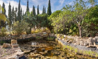 Reventa - Finca -
Catral