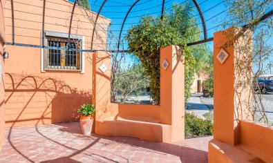 Reventa - Finca -
Catral