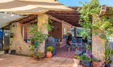 Reventa - Finca -
Catral