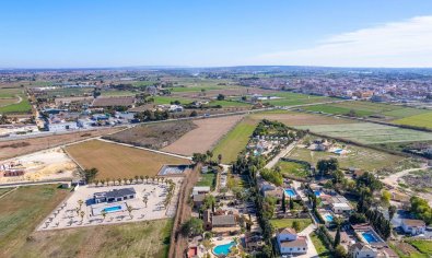 Reventa - Finca -
Catral