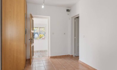 Reventa - Finca -
Catral