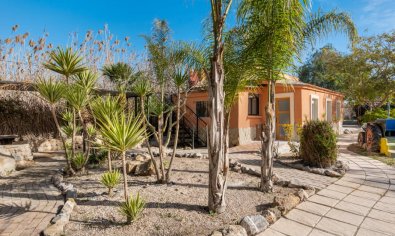 Reventa - Finca -
Catral