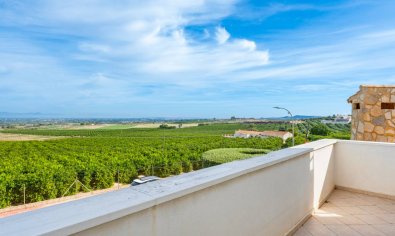 Bestaande bouw - Villa -
Algorfa - Montemar