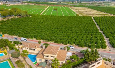 Bestaande bouw - Villa -
Algorfa - Montemar