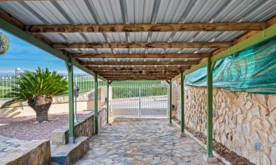Bestaande bouw - Villa -
Algorfa - Montemar