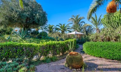 Reventa - Finca -
Los Montesinos
