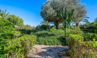 Reventa - Finca -
Los Montesinos