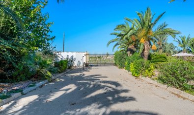 Reventa - Finca -
Los Montesinos