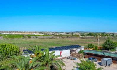 Reventa - Finca -
Los Montesinos