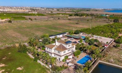 Reventa - Finca -
Los Montesinos