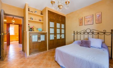 Bestaande bouw - Chalet -
San Miguel de Salinas