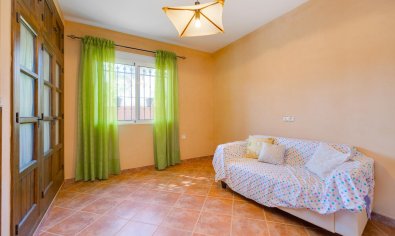 Bestaande bouw - Chalet -
San Miguel de Salinas