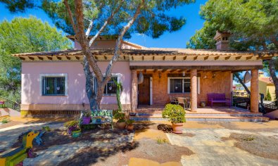 Bestaande bouw - Chalet -
San Miguel de Salinas