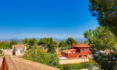 Bestaande bouw - Chalet -
San Miguel de Salinas
