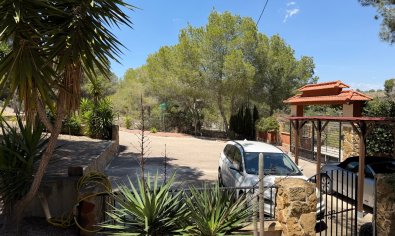 Bestaande bouw - Finca -
Orihuela - Torremendo