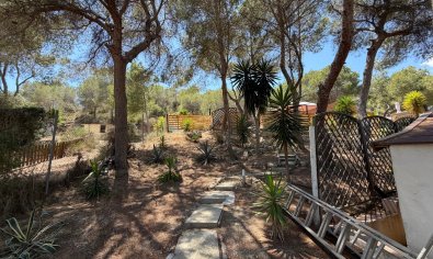 Bestaande bouw - Finca -
Orihuela - Torremendo