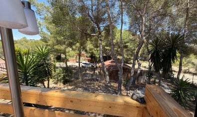 Bestaande bouw - Finca -
Orihuela - Torremendo