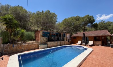 Bestaande bouw - Finca -
Orihuela - Torremendo