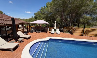 Bestaande bouw - Finca -
Orihuela - Torremendo