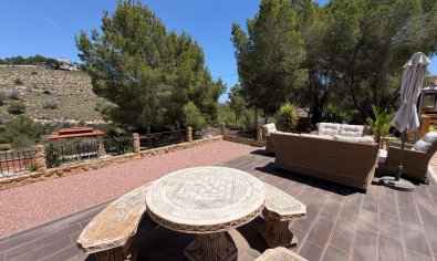 Bestaande bouw - Finca -
Orihuela - Torremendo