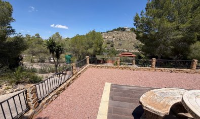Bestaande bouw - Finca -
Orihuela - Torremendo