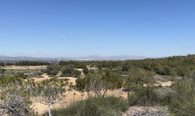 Bestaande bouw - Land and Plots -
San Fulgencio - La Marina