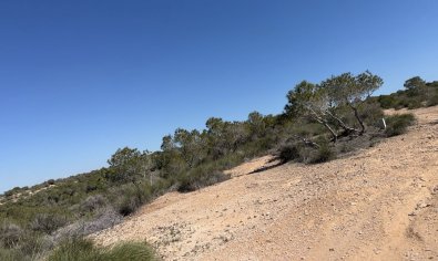 Bestaande bouw - Land and Plots -
San Fulgencio - La Marina