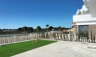 Obra nueva - Villa -
Pilar de la Horadada