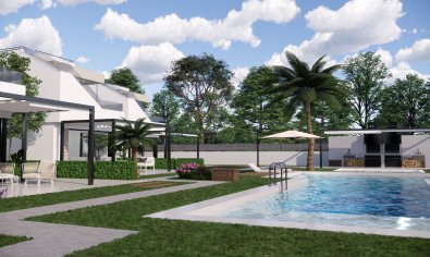 Obra nueva - Villa -
Pilar de la Horadada