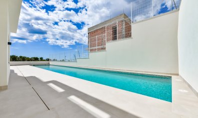 Obra nueva - Villa -
Finestrat