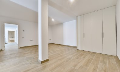 Obra nueva - Villa -
Finestrat