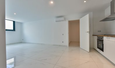Obra nueva - Villa -
Finestrat