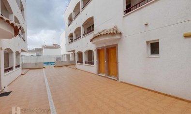 Obra nueva - Apartamento / piso -
San Fulgencio