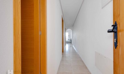 Obra nueva - Apartamento / piso -
San Fulgencio