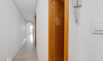 Obra nueva - Apartamento / piso -
San Fulgencio