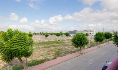 Obra nueva - Apartamento / piso -
San Fulgencio