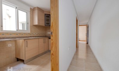 Obra nueva - Apartamento / piso -
San Fulgencio