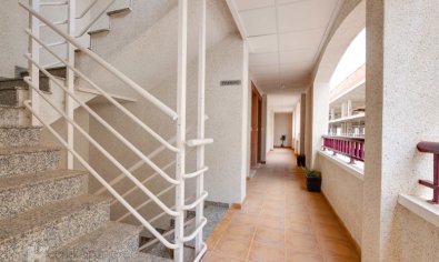 Obra nueva - Apartamento / piso -
San Fulgencio